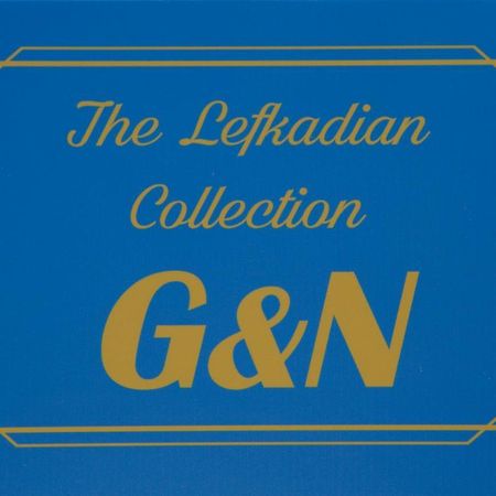 The Lefkadian Collection G And N Villa Nikiana Exterior photo